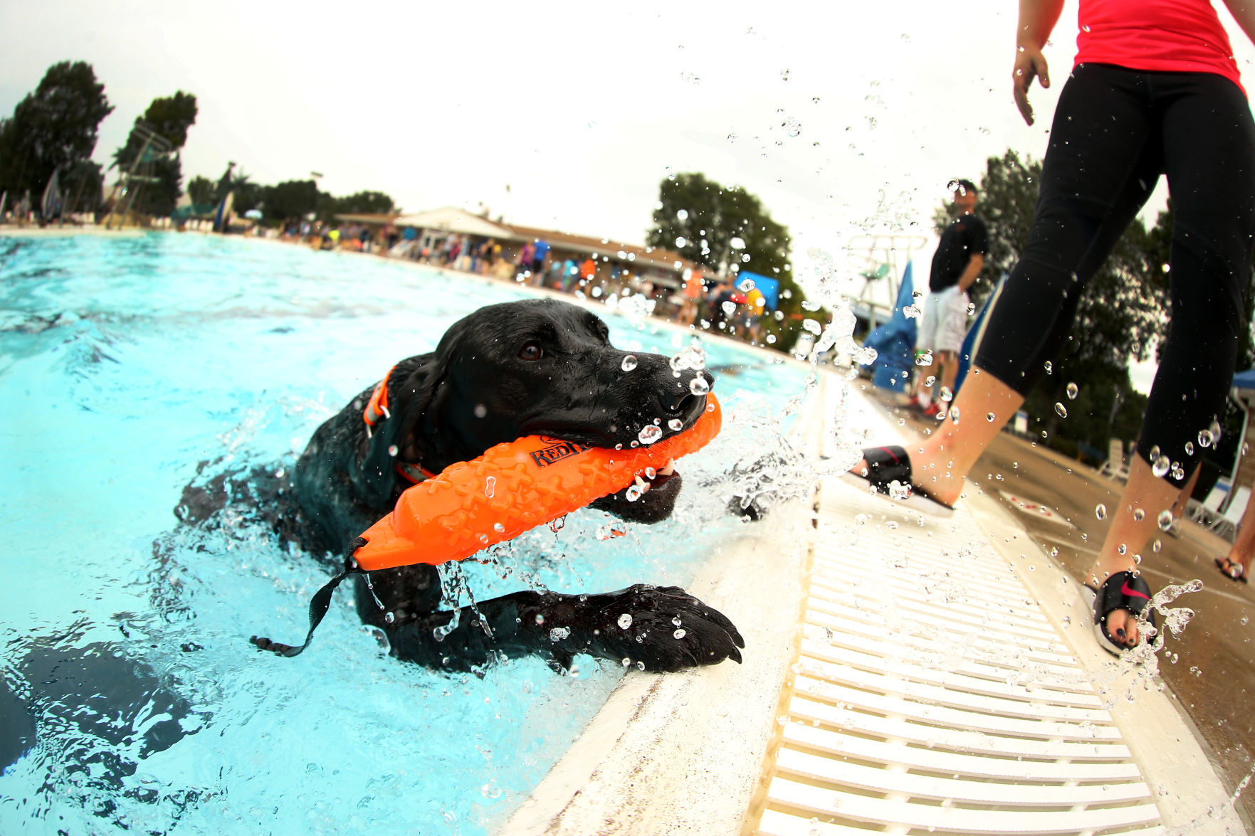 082717-Doggy-Splash-001